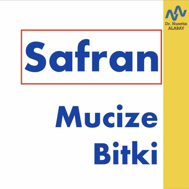 Safran Mucize Bitki