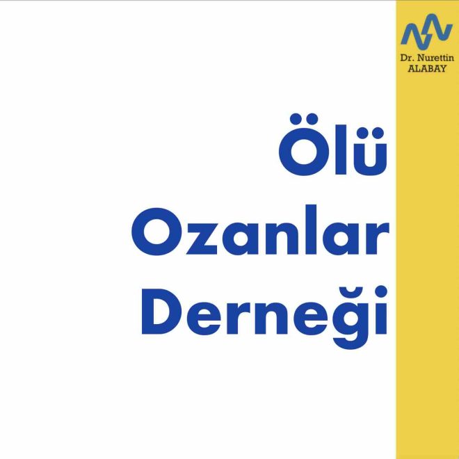 Ölü Ozanlar Derneği