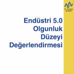 Endüstri 5.0 Olgunluk Düzeyi Değerlendirmesi