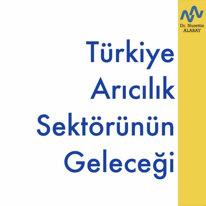 Turkiye Aricilik Sektorunun Gelecegi 2